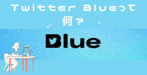 「TwitterBlue」の機能について簡単に、わかりやすくまとめました！のサムネイル画像